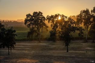 Single Family Residence,  Olivet road, Santa Rosa, CA 95401 - 63