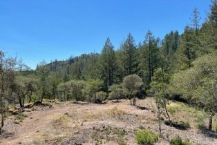 Residential Acreage,  Gates road, Santa Rosa, CA 95404 - 13