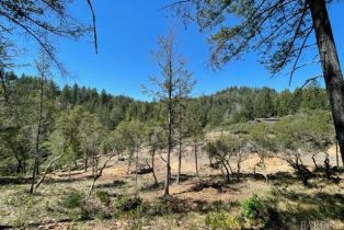 Residential Acreage,  Gates road, Santa Rosa, CA 95404 - 10