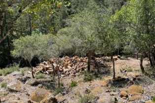 Residential Acreage,  Gates road, Santa Rosa, CA 95404 - 12