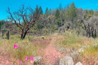 Residential Acreage,  St. Helena road, Santa Rosa, CA 95404 - 7