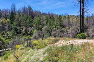 Residential Acreage,  St. Helena road, Santa Rosa, CA 95404 - 26