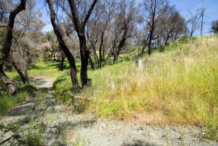 Residential Acreage,  St. Helena road, Santa Rosa, CA 95404 - 14