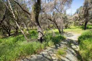 Residential Acreage,  St. Helena road, Santa Rosa, CA 95404 - 15