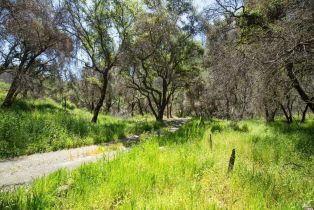 Residential Acreage,  St. Helena road, Santa Rosa, CA 95404 - 16