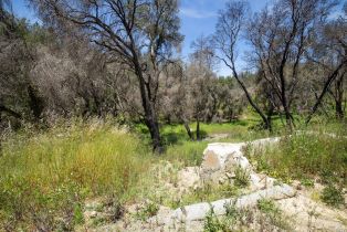 Residential Acreage,  St. Helena road, Santa Rosa, CA 95404 - 6