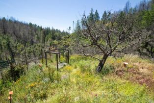 Residential Acreage,  St. Helena road, Santa Rosa, CA 95404 - 13