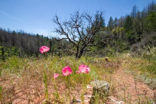 Residential Acreage,  St. Helena road, Santa Rosa, CA 95404 - 8