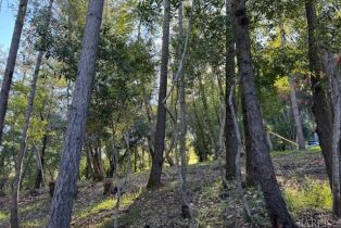 Residential Lot,  Riverview drive, Healdsburg, CA 95448 - 6