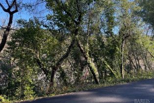 Residential Lot,  Riverview drive, Healdsburg, CA 95448 - 14