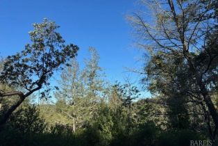 Residential Lot,  Riverview drive, Healdsburg, CA 95448 - 13