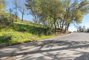 Residential Lot,  Borel lane, Healdsburg, CA 95448 - 20