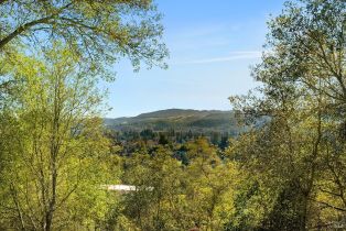 Residential Lot,  Borel lane, Healdsburg, CA 95448 - 2