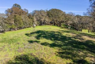 Residential Lot,  Borel lane, Healdsburg, CA 95448 - 4