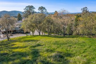 Residential Lot,  Borel lane, Healdsburg, CA 95448 - 19