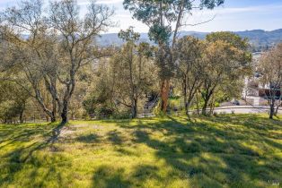 Residential Lot,  Borel lane, Healdsburg, CA 95448 - 17