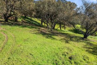 Residential Lot,  Borel lane, Healdsburg, CA 95448 - 13