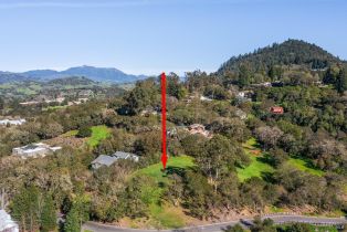 Residential Lot,  Borel lane, Healdsburg, CA 95448 - 7