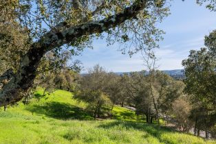 Residential Lot,  Borel lane, Healdsburg, CA 95448 - 11