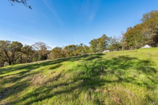 Residential Lot,  Borel lane, Healdsburg, CA 95448 - 9