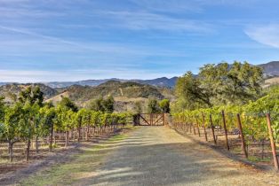 Single Family Residence,  Mountain Home Ranch road, Calistoga, CA 94515 - 48