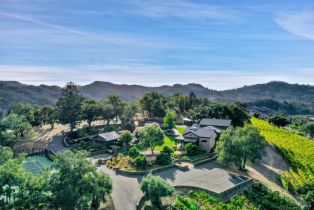 Single Family Residence,  Mountain Home Ranch road, Calistoga, CA 94515 - 54