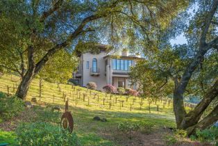 Single Family Residence,  Mallard drive, Sonoma, CA 95476 - 53