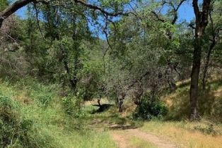 Residential Acreage,  Big Ridge road, Healdsburg, CA 95448 - 12