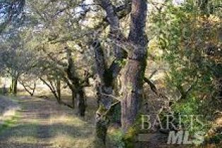 Residential Acreage,  Big Ridge road, Healdsburg, CA 95448 - 8