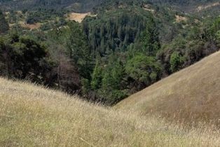 Residential Acreage,  Big Ridge road, Healdsburg, CA 95448 - 15