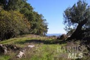 Residential Acreage,  Big Ridge road, Healdsburg, CA 95448 - 5