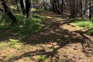 Residential Acreage,  Big Ridge road, Healdsburg, CA 95448 - 14