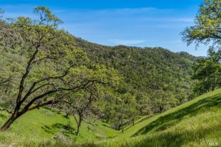 Single Family Residence,  Longhorn Ridge road, Napa, CA 94558 - 33