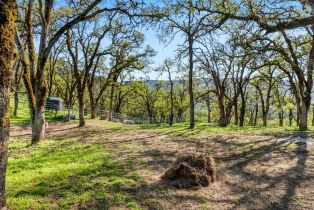 Single Family Residence, 95 Longhorn Ridge road, Napa, CA 94558 - 49