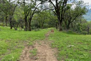 Single Family Residence, 95 Longhorn Ridge road, Napa, CA 94558 - 57