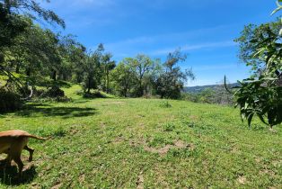 Agriculture, Lot 8 Longhorn Ridge road, Napa, CA 94558 - 6