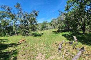 Agriculture, Lot 8 Longhorn Ridge road, Napa, CA 94558 - 5