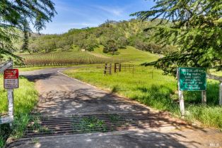 Agriculture, Lot 8 Longhorn Ridge road, Napa, CA 94558 - 2