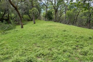 Agriculture, Lot 8 Longhorn Ridge road, Napa, CA 94558 - 7