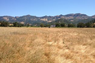 Residential Acreage,  Tubbs lane, Calistoga, CA 94515 - 3