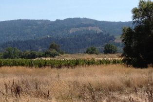 Residential Acreage,  Tubbs lane, Calistoga, CA 94515 - 9