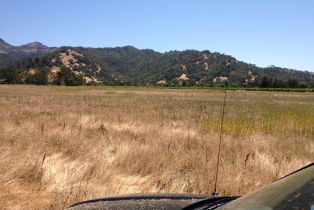 Residential Acreage,  Tubbs lane, Calistoga, CA 94515 - 4