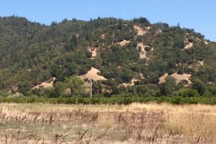 Residential Acreage,  Tubbs lane, Calistoga, CA 94515 - 8