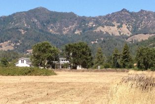 Residential Acreage,  Tubbs lane, Calistoga, CA 94515 - 7