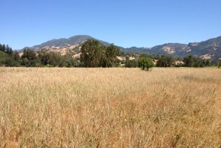 Residential Acreage,  Tubbs lane, Calistoga, CA 94515 - 2