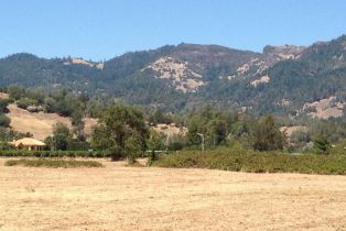 Residential Acreage,  Tubbs lane, Calistoga, CA 94515 - 10