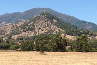 Residential Acreage,  Tubbs lane, Calistoga, CA 94515 - 5