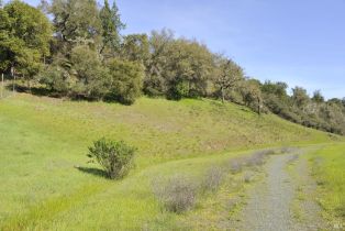 Residential Lot,  Canyon run, Healdsburg, CA 95448 - 10