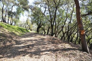 Residential Lot, 283 Clear Ridge drive, Healdsburg, CA 95448 - 10