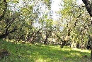 Residential Lot, 283 Clear Ridge drive, Healdsburg, CA 95448 - 23